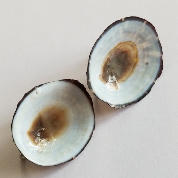 Vintage seashell screwback earrings sea shell silver tone ocean beach co… - Picture 7 of 10